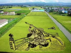 安全衛(wèi)生,注意事項,基地,農(nóng)業(yè)