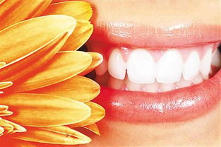 剛裝了假牙需要注意什么,安裝假牙后注意事項,老年人安裝假牙注意事項