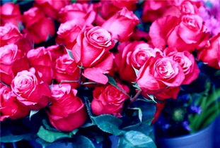 結晶操作的注意事項,冷卻結晶的注意事項,蒸發(fā)結晶的注意事項