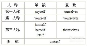 代詞,英語,注意事項