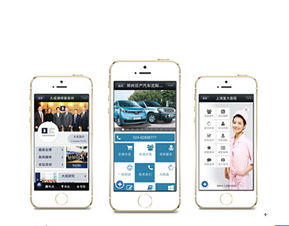 注意事項,開發(fā),手機,web