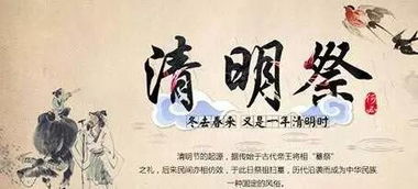 清明節(jié)活動(dòng)的注意事項(xiàng)