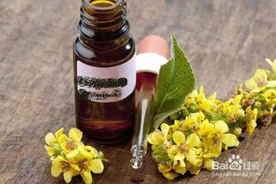 空調(diào)在使用時(shí)有哪些注意事項(xiàng),柴油使用時(shí)注意事項(xiàng)有哪些?,中成藥使用時(shí)注意事項(xiàng)有哪些