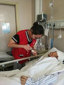 鼻飼,喂食,注意事項