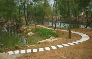 綠化施工注意事項,園林綠化施工注意事項2000字論文,園林綠化安全注意事項