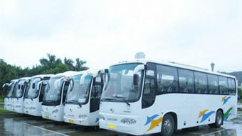 麗江跟團(tuán)旅游注意事項(xiàng),老年人跟團(tuán)旅游注意事項(xiàng),乘坐旅游大巴注意事項(xiàng)