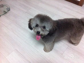 注意事項,生理期