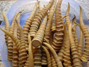 羚羊角的用法用量及注意事項,羚羊角串珠的功效與作用,羚羊角粉怎么服用及注意事項