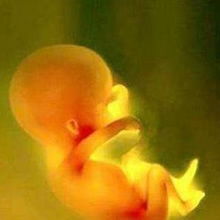 引產(chǎn)坐月子注意事項(xiàng)及飲食,5個(gè)月引產(chǎn)后注意事項(xiàng)和怎樣調(diào)理,引產(chǎn)注意事項(xiàng)大全