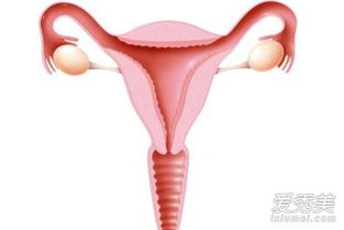 婦女帶環(huán)后注意事項(xiàng)