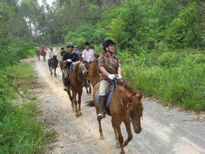 騎馬的技巧和注意事項,第一次騎馬注意事項,騎馬的注意事項和禁忌