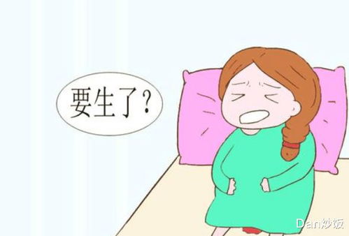 注意事項,懷孕,階段