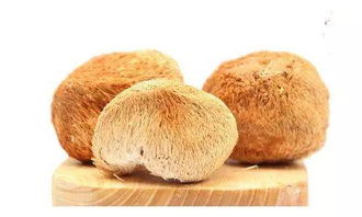 吃猴頭菇的注意事項(xiàng),孕婦吃猴頭菇的禁忌,孕婦可以吃猴頭菇湯嗎