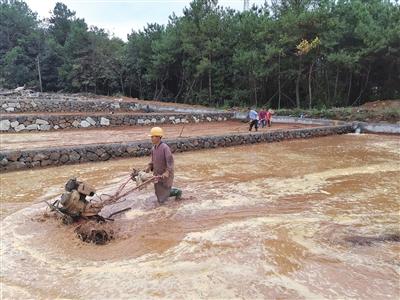注意事項,旱改水