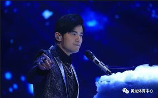 周杰倫,注意事項,演唱會