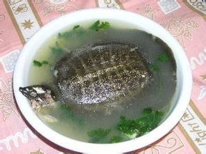 宮頸環(huán)扎術(shù)后飲食注意事項(xiàng),環(huán)扎術(shù)后需要注意事項(xiàng),鞏膜環(huán)扎術(shù)后注意事項(xiàng)