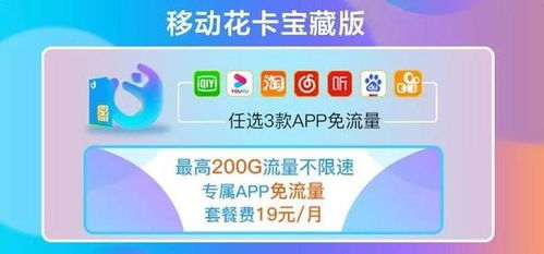 注意事項(xiàng),出國