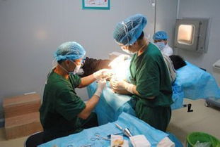 做痔瘡手術(shù)注意事項(xiàng),痔瘡手術(shù)后注意事項(xiàng),痔瘡犯了應(yīng)該注意事項(xiàng)