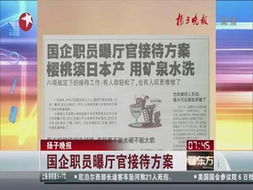 接待政府領(lǐng)導(dǎo)注意事項,接待的工作內(nèi)容與注意事項,辦公室接待流程和注意事項