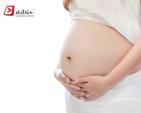 移植成功一個(gè)月后注意事項(xiàng),移植后的注意事項(xiàng),移植前一個(gè)月注意事項(xiàng)