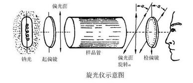 測定旋光度應注意事項