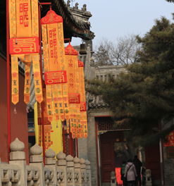 白云觀太歲符注意事項(xiàng),拜太歲的注意事項(xiàng),道觀拜太歲注意事項(xiàng)