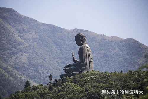 墳山,有什么,注意事項(xiàng)