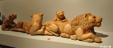 非洲,注意事項(xiàng)