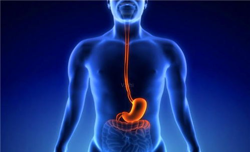 肋骨發(fā)炎該怎樣治和注意事項(xiàng)