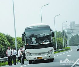 牛皮,二層,長(zhǎng)途,注意事項(xiàng)