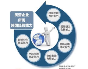 跨國公司,合資,注意事項