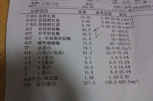 轉(zhuǎn)氨酶,偏高,注意事項