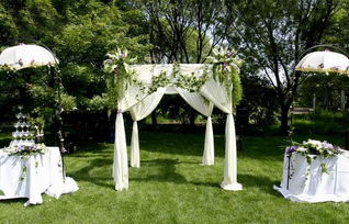 參加婚禮注意事項(xiàng),婚禮的注意事項(xiàng)和規(guī)矩,跟拍婚禮注意事項(xiàng)