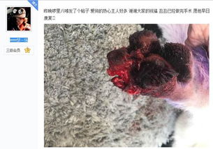 腳真菌感染注意事項(xiàng)