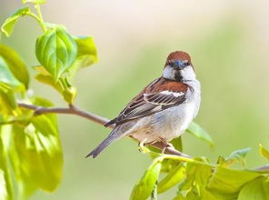 結(jié)構(gòu)膠使用注意事項(xiàng),ab膠使用注意事項(xiàng),uv膠使用注意事項(xiàng)