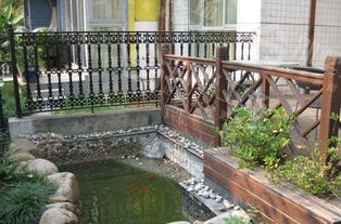 新挖魚(yú)塘養(yǎng)魚(yú)注意事項(xiàng),新開(kāi)魚(yú)塘要注意事項(xiàng),新魚(yú)塘養(yǎng)魚(yú)注意事項(xiàng)