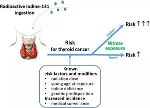 放射性碘注意事項(xiàng)