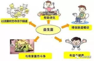 eb病毒飲食應(yīng)注意事項(xiàng)