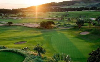 高爾夫球場注意事項