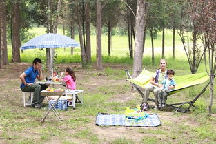 郊游,野外,河邊,注意事項