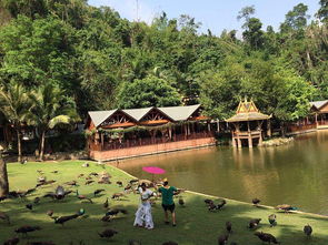 保亭旅游注意事項(xiàng)