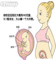 幾周,注意事項,懷孕