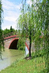 森林公園,注意事項,規(guī)劃