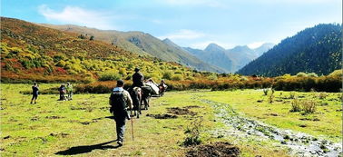 穿越,注意事項(xiàng),七藏溝