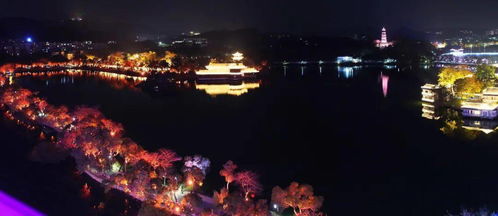 夜游西湖注意事項(xiàng)