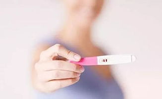 做試管嬰兒前男性注意事項,試管移植后注意事項,試管移植當(dāng)天注意事項