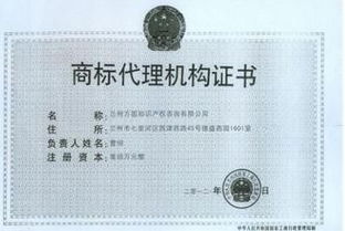 公司注冊(cè)事項(xiàng),企業(yè)注冊(cè)注意事項(xiàng),開(kāi)公司有什么注意事項(xiàng)