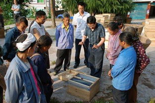 東北養(yǎng)蜂注意事項(xiàng)