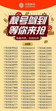 手機(jī)靚號(hào)過(guò)戶注意事項(xiàng),買(mǎi)靚號(hào)需要注意事項(xiàng),購(gòu)買(mǎi)手機(jī)靚號(hào)過(guò)戶注意事項(xiàng)