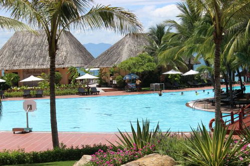 行去,注意事項(xiàng),自由